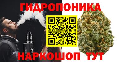 apvp Канаш
