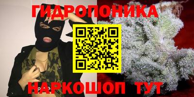 СК Камышлов