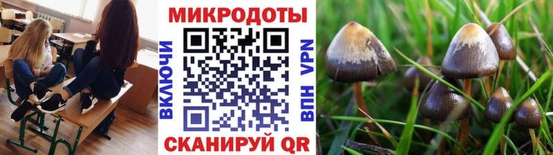 Галлюциногенные грибы мицелий Балтийск