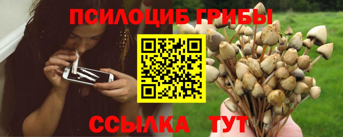 Балтийск  Галлюциногенные грибы мицелий  Вход с VPN 