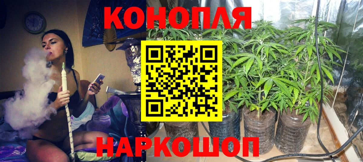 Каннабис Bruce Banner  Шишки марихуана Bruce Banner  Вход с VPN  МАРИХУАНА планчик  Балтийск 